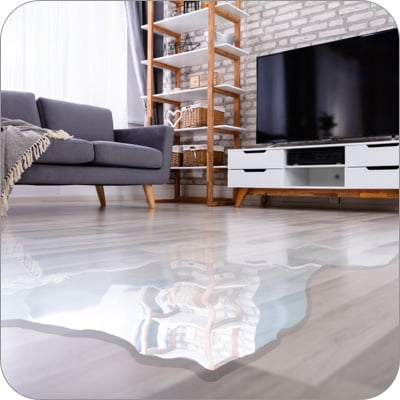 Water Leak in Living Room